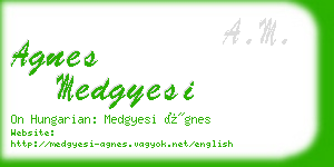 agnes medgyesi business card